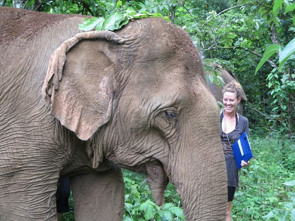 Volunteering Elephants Cambodia